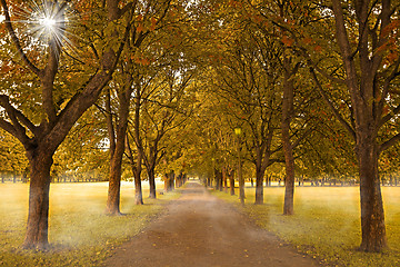 Image showing Autumn