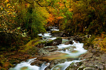 Image showing Beautiful river