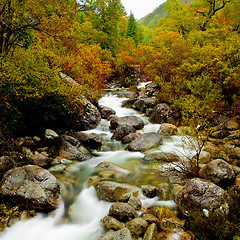 Image showing Mountain River 