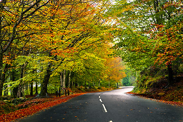 Image showing Beautiful road