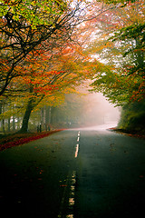 Image showing Beautiful road