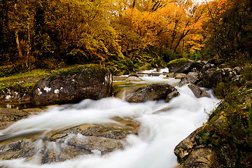 Image showing Beautiful river