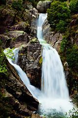 Image showing Water Spring