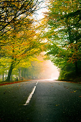 Image showing Beautiful road