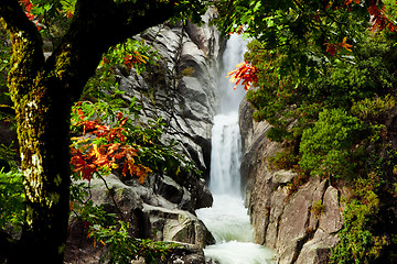 Image showing Water Spring