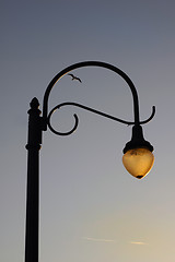 Image showing Lamppost & Bird