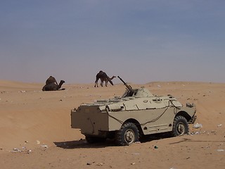 Image showing Camels and tank