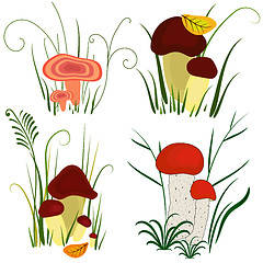 Image showing Set of mushroom