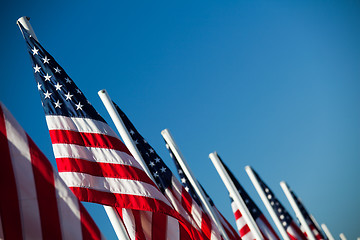 Image showing USA American flags in a row