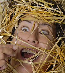 Image showing Needle in Haystack