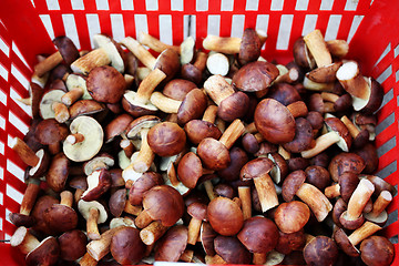 Image showing edible mushrooms