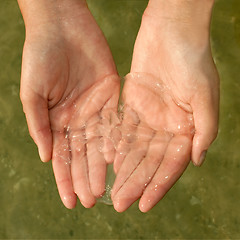 Image showing Jellyfish in women's hands