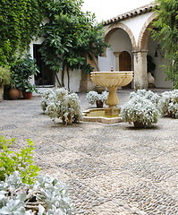 Image showing Palacio de Viana - Typical Andalusian patio