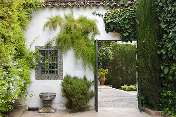 Image showing Palacio de Viana - Typical Andalusian patio