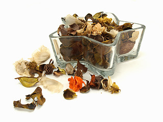 Image showing Autumn Star Potpourri