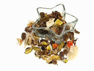 Image showing Autumn Star Bowl