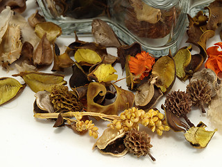 Image showing Autumn Potpourri