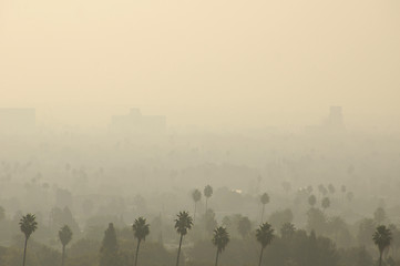 Image showing Los Angeles Smog