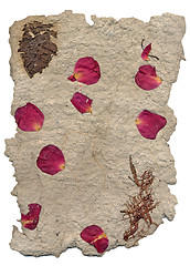 Image showing Hand made paper