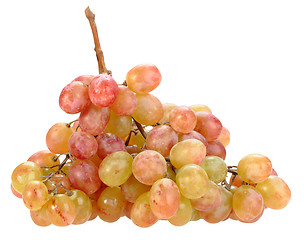 Image showing Single bunch of orange-yellow grape