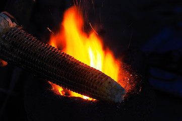 Image showing Corn Fire