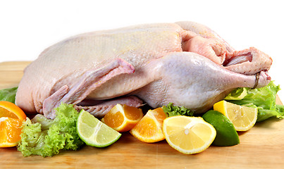 Image showing Raw duck with citrus fruits