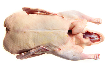 Image showing Oven ready duck from above