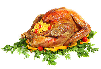 Image showing Festive turkey side view isolated