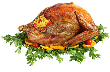 Image showing Roast turkey on herb bed