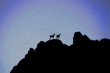 Image showing Two Long Horn Sheep