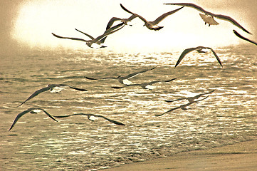 Image showing Flying Gulls/Artistic