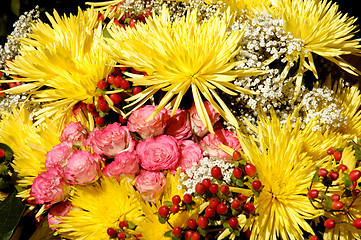 Image showing Flowers 33