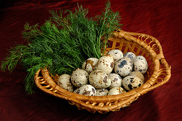 Image showing Quail eggs 1