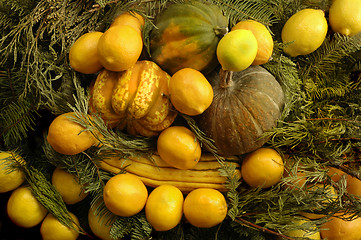 Image showing Squash & Fruit Bowl