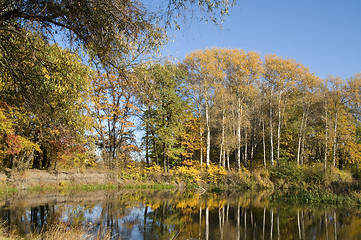 Image showing Autumn river