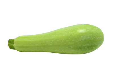 Image showing Vegetable marrow