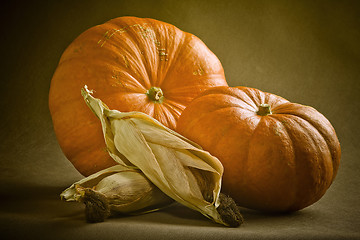 Image showing Pumpkins and corn.