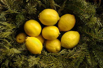 Image showing Christmas Lemons