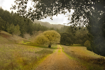 Image showing Oak Tree Road