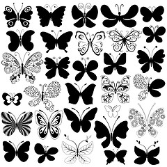 Image showing Big collection black butterflies