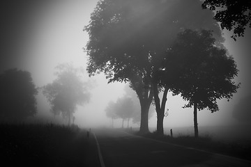 Image showing nebel