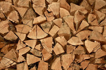 Image showing Firewood made in bunch
