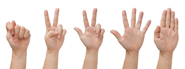 Image showing Isolated hands