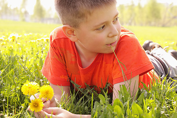 Image showing Kid on grass with dandelions looking sideways