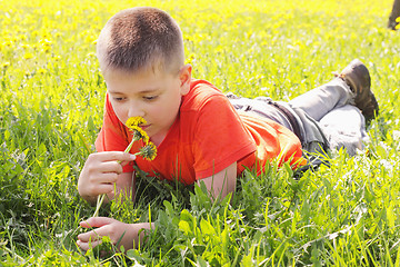 Image showing Kid on grass with dandelions