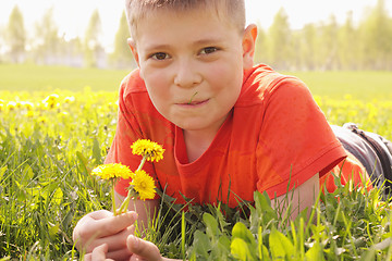 Image showing Smiling kid on grass with dandelions