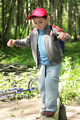 Image showing Boy crossing path by log