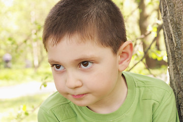 Image showing Little boy at tree