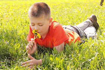 Image showing Kid on grass smelling dandelions