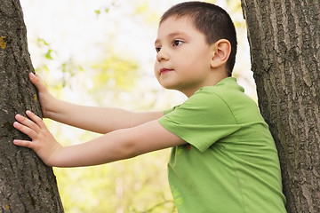 Image showing Little boy between trees